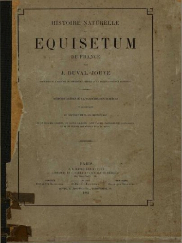 Histoire naturelle des Equisetum de France