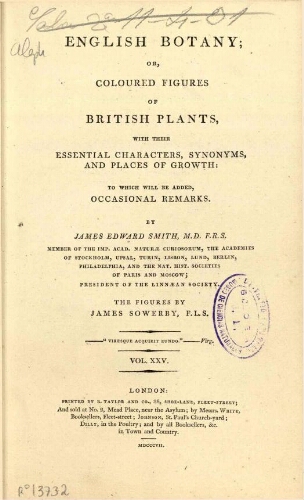 English botany [...] Vol. XXV