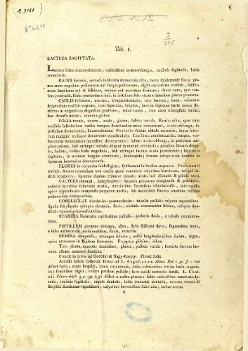 Descriptiones et icones plantarum rariorum Hungariae. Vol. 1