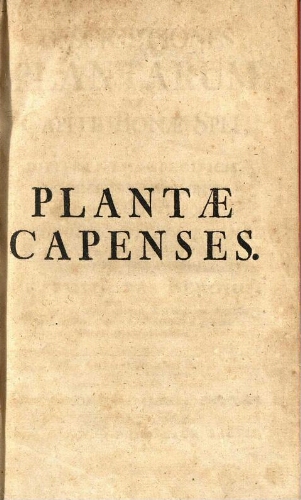 Descriptiones plantarum ex Capite Bonae Spei