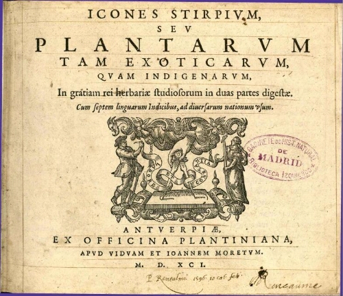 Icones stirpium [tomus primus]