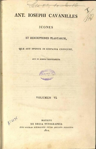 Icones et descriptiones plantarum [...] Volumen VI