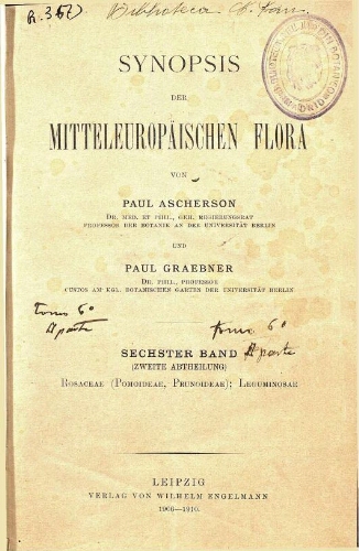 Synopsis der mitteleuropäischen Flora [...] [Band 6, Abth. 2]