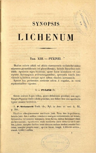 Synopsis methodica lichenum [...] [Tomus secundus]
