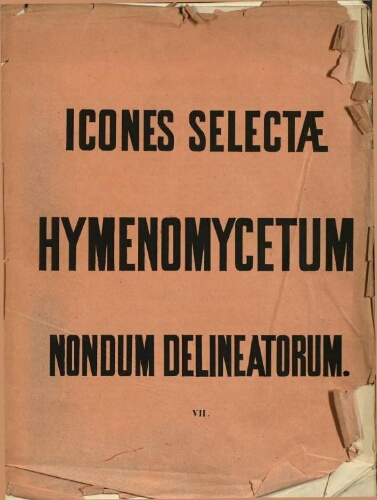 Icones selectae Hymenomycetum nondum delineatorum [...] [Vol. I] [Fasc.] VII