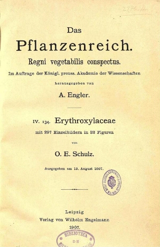 Erythroxylaceae. In: Engler, Das Pflanzenreich [...] [Heft 29] IV. 134