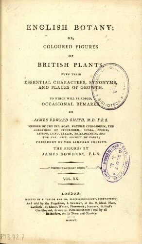 English botany [...] Vol. XX