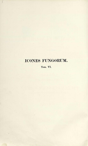 Iconum fungorum hucusque cognitorum. Tomus VI