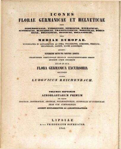 Icones florae Germanicae et Helveticae [...] Volumen septimum