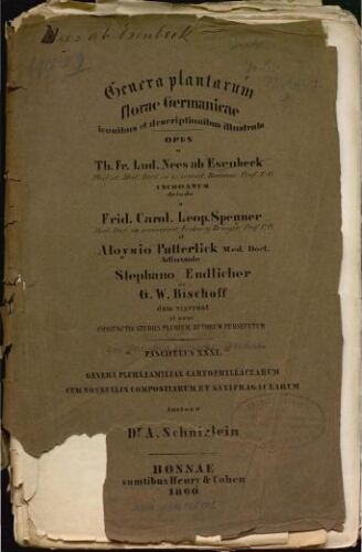 Genera plantarum florae Germanicae iconibus et descriptionibus illustrata. Fasc. 31