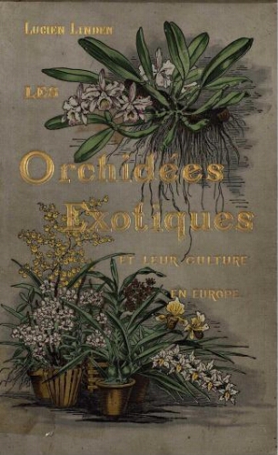 Les orchidées exotiques et leur culture en Europe