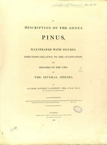A description of the genus Pinus [Vol. 1]