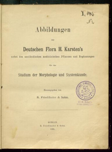 Abbildungen zur Deutschen Flora H. Karsten's