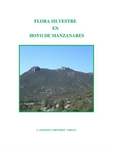 Flora silvestre en Hoyo de Manzanares