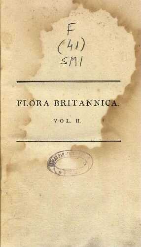 Flora Britanica [...] Vol. II