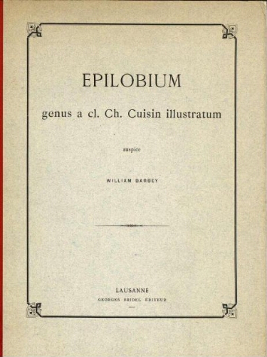 Epilobium