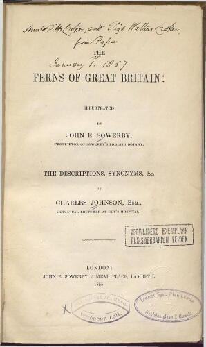 The ferns of Great Britain