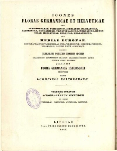Icones florae Germanicae et Helveticae [Reimp. col.] [...] Volumen octavum