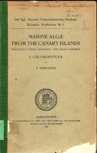 Marine algae from the Canary Islands [...] I. Chlorophyceae