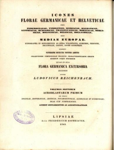 Icones florae Germanicae et Helveticae [Reimp. col.] [...] Volumen septimum