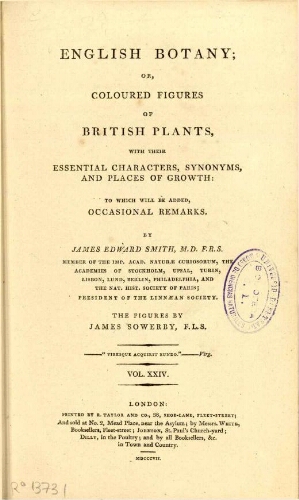 English botany [...] Vol. XXIV