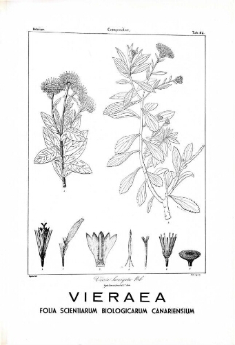 Vieraea. Vol. 2 (2)
