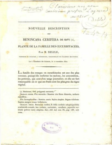 Nouvelle description du Benincasa cerifera de Savi