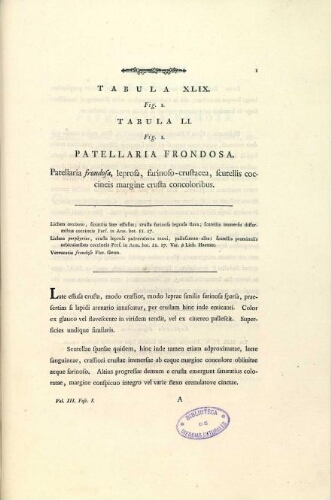 Descriptio et adumbratio plantarum e classe cryptogamica [...] [Volumen tertium]