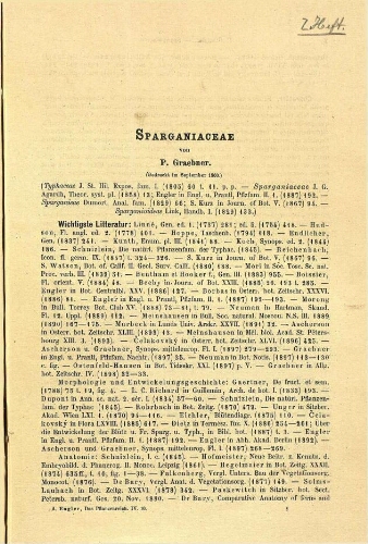 Sparganiaceae. In: Engler, Das Pflanzenreich [...] [Heft 2] IV. 10