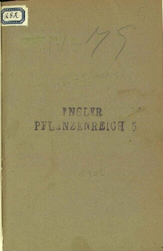 Rafflesiaceae. In: Engler, Das Pflanzenreich [...] Heft 5 ; IV. 75