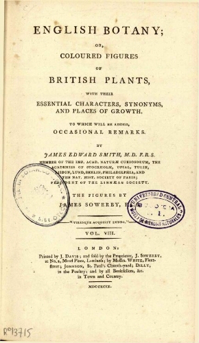 English botany [...] Vol. VIII