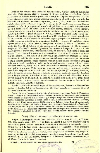 Sapindaceae VIII (Bogen 91-97). In: Engler, Das Pflanzenreich [...] [Heft 98h] IV. 165