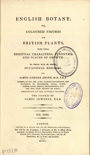 English botany [...] Vol. XXIII