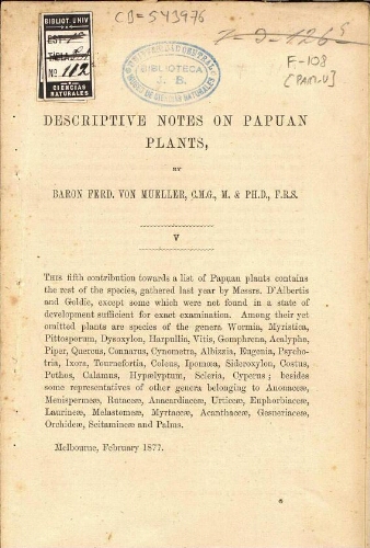 Descriptive notes on Papuan plants, [...] ; V