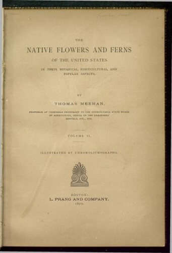 The native flowers and ferns of the United States. Vol. 2