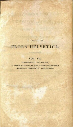 Flora Helvetica [...] Vol. VII