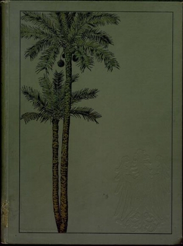 Der Palmengarten zu Frankfurt a. M.