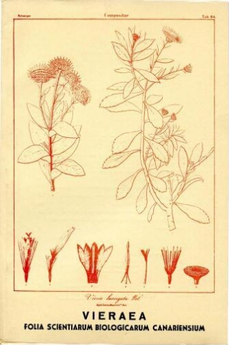 Vieraea. Vol. 1