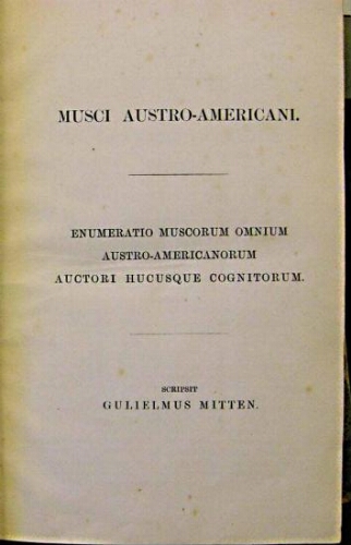 Musci Austro-Americani