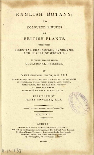 English botany [...] Vol. XXVIII