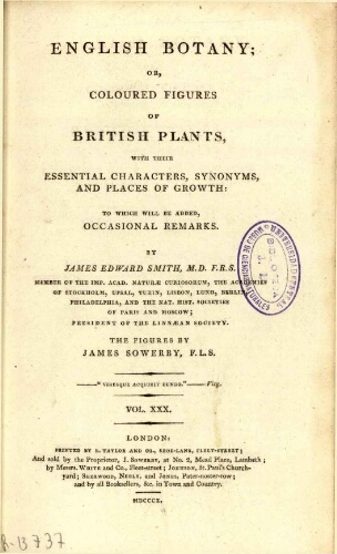 English botany [...] Vol. XXX