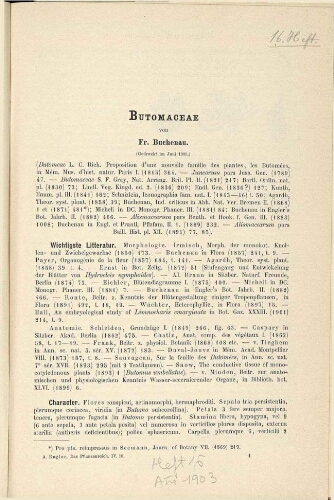 Butomaceae. In: Engler, Das Pflanzenreich [...] [Heft 16] IV. 16