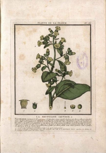 Herbier de la France [...] [Vols. 7-9]