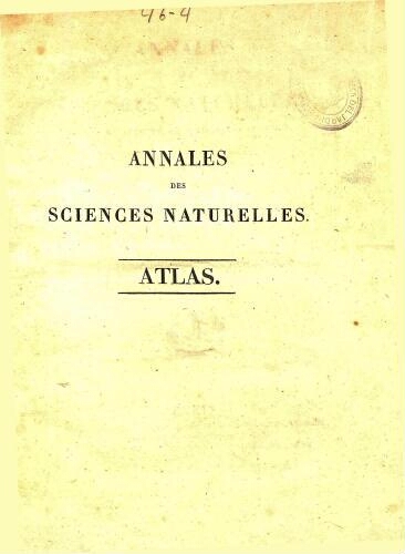 Annales des sciences naturelles [...] Atlas des tomes 4, 5, 6