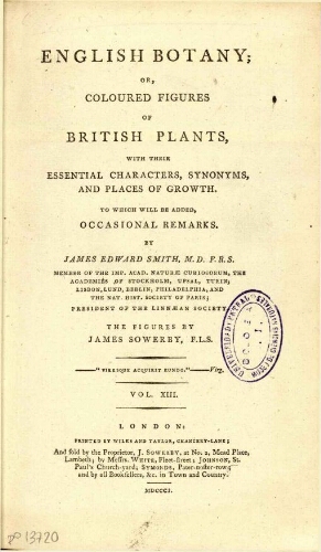 English botany [...] Vol. XIII