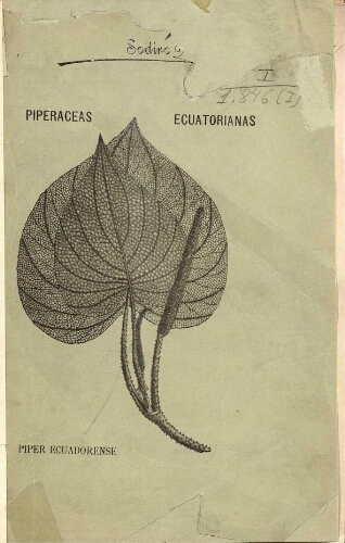 Piperaceas ecuatorianas